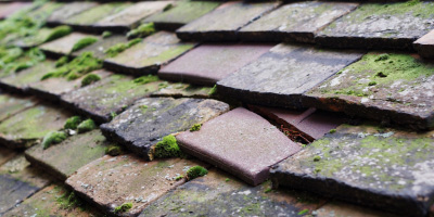 Berry Hill roof repair costs